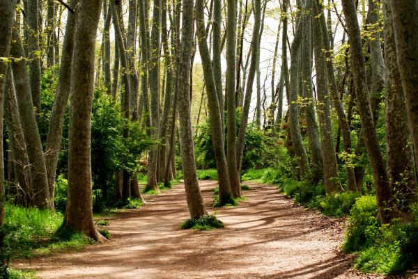 Un passeig pels Gallecs