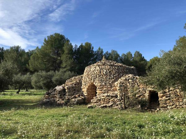 Ruta de la Pedra Seca amb nens