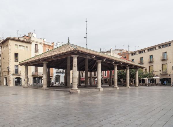 Festa Major de Granollers 2025, programa i activitats