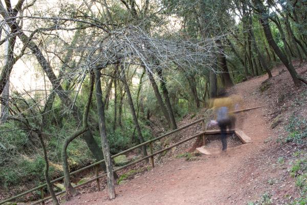 Las fuentes de las Rovires de Pallejà