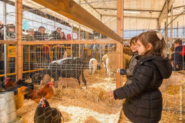 Fira de la Candelera de Molins de Rei, una Festa Tradicional d'Interès Nacional