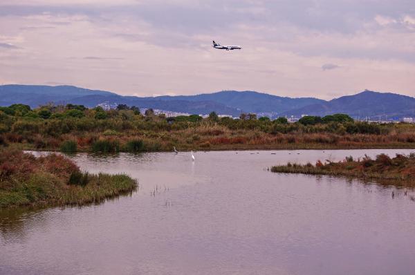 El Delta del Llobregat amb nens