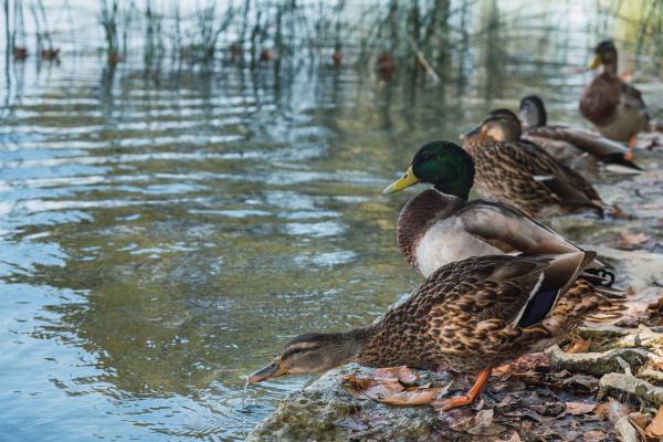 Excursió a La Puda i Les Estunes, a prop de l'Estany de Banyoles