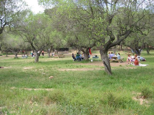 Àrea de pícnic Masia d'en Cabanyes, a Vilanova i la Geltrú, el Garraf