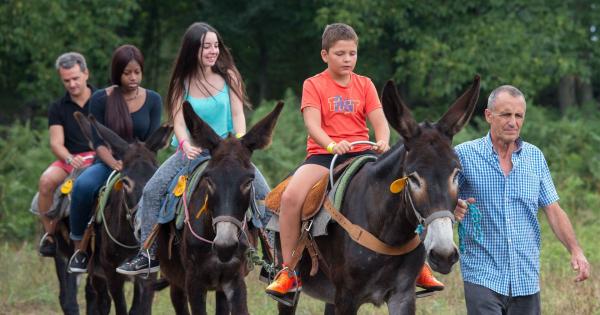 En burro y a caballo en Les Preses Con niños