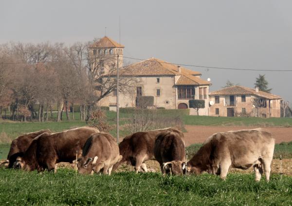 Sant Julià de Vilatorta