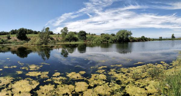 Ruta por el pantano de Palouet, en Massoteres