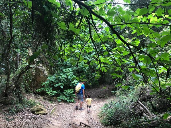 Ruta por el pantano de Foix | Ruta por el pantano de Foix, Castellet. Foto: ESCAPADAAMBNENS.COM | Ruta por el pantano de Foix, Castellet. Foto: ESCAPADAAMBNENS.COM