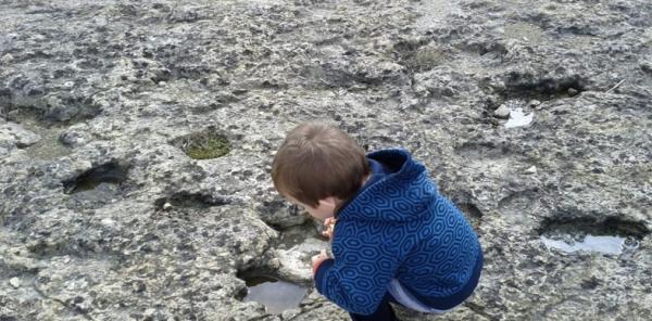 Huellas fósiles de Cal Prat Barrina Con niños