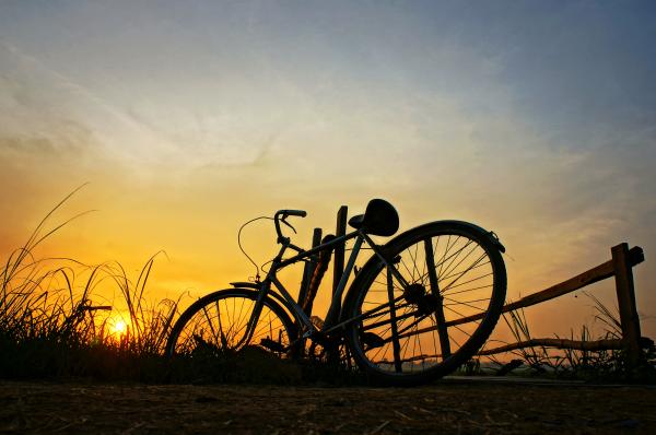 En bicicleta por los campos floridos de cerezos