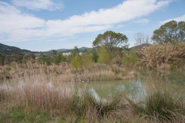 Els aiguamolls de Molins de Rei amb nens