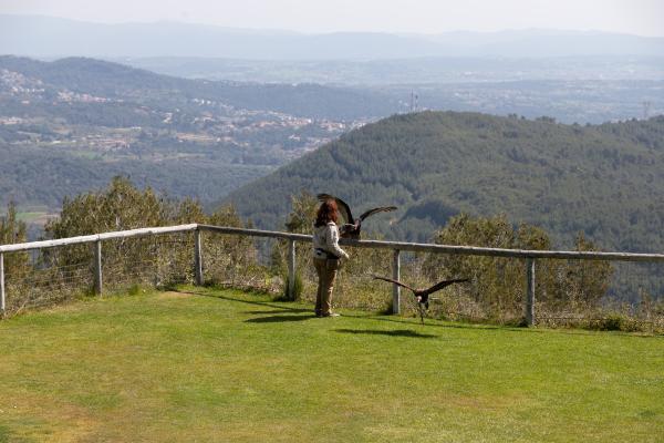 Cim d'Àligues, Centro de recuperación de aves rapaces