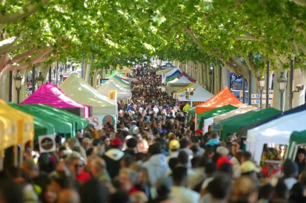 Sant Jordi Lleida 2025