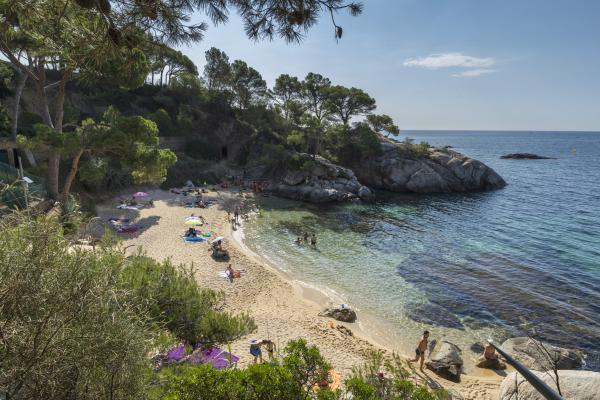 El camí de ronda Nord, les cales de Tramuntana: des de Platja d’Aro fins Sant Antoni de Calonge, a la Costa Brava | Foto: Jordi Geli