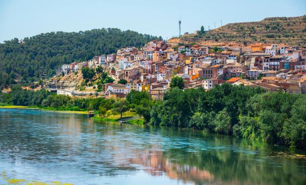 La floració des del castell d’Ascó