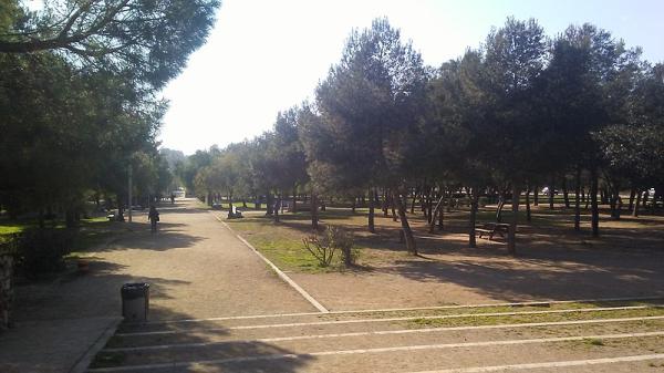 Parc de la Quadra d'Enveja amb una zona de pícnic amb nens