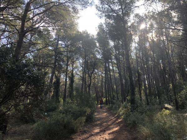 Un día en Figuerola del Camp con niños