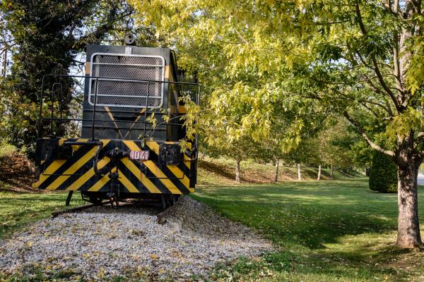 Tren pequeño de Fornells Con niños