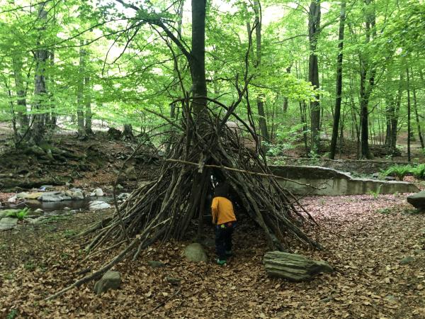 La Font del Frare, la excursión más corta del Montseny