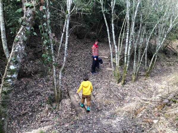 Ruta por la Necrópolis Neolítica del Llor, en el Solsonès