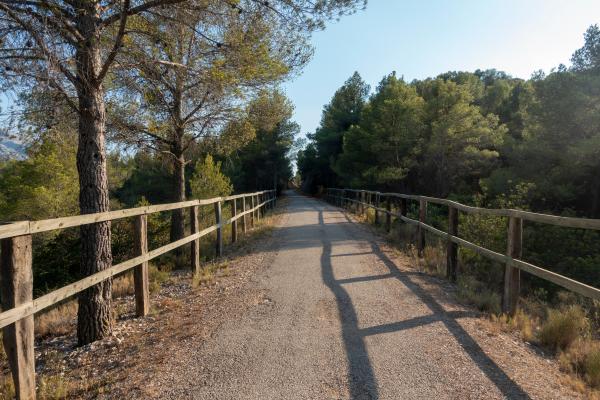 Via verda des d'Arnes amb nens