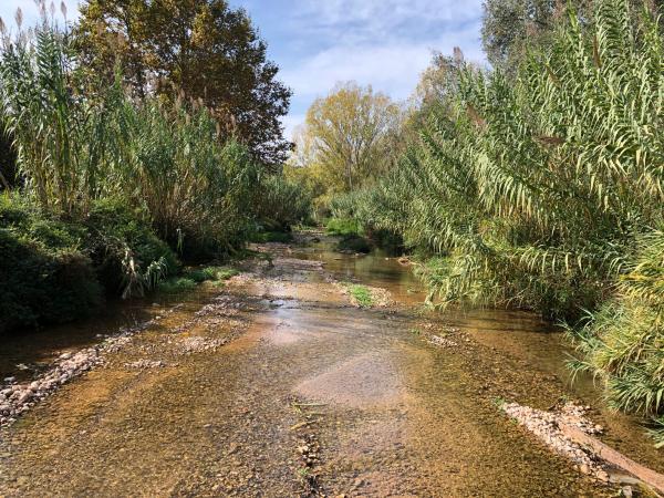 Una excursió de conte pel riu Gaià amb nens