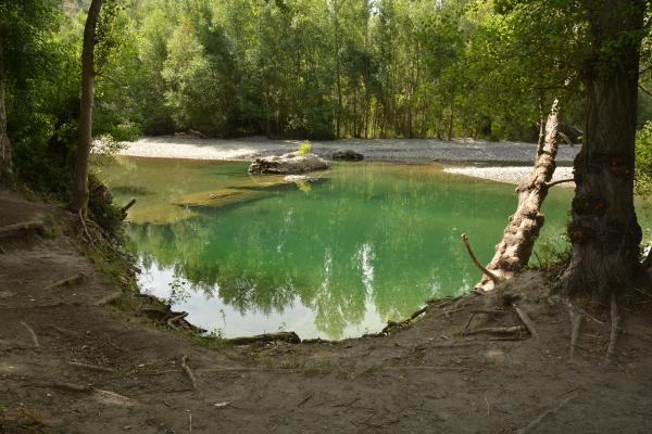 El camí de l’aigua amb nens