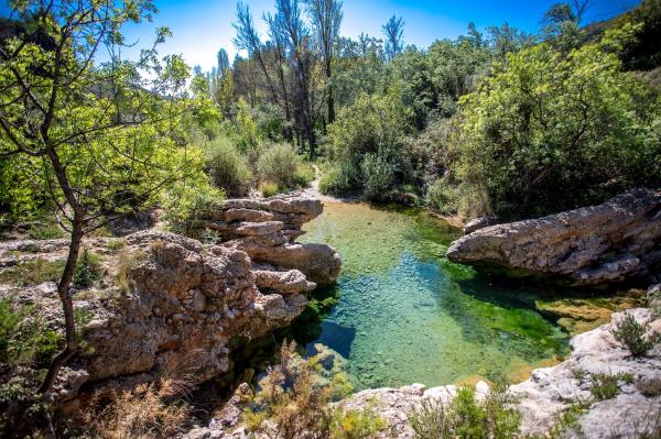 ¡La excursión empieza atravesando un puente colgante! | Toll dels Arenals. Foto: Turisme de la Sénia