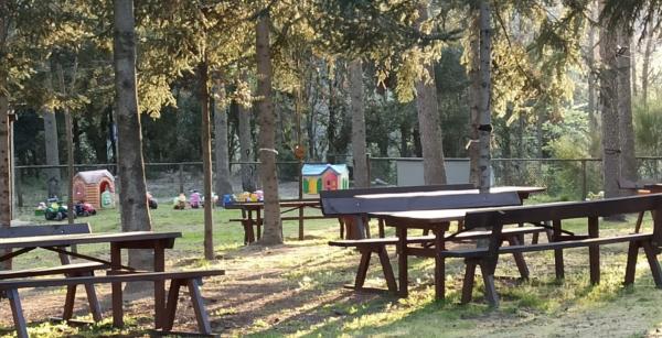 Camins de Bosc Con niños