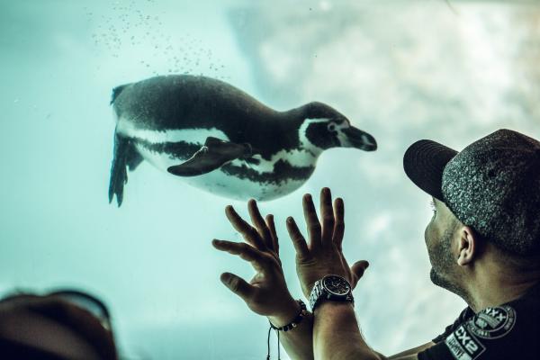 Una missió que guanya aliats cada dia | zoobarcelona.cat