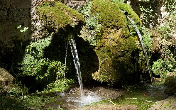 Ruta de les Fonts amb nens