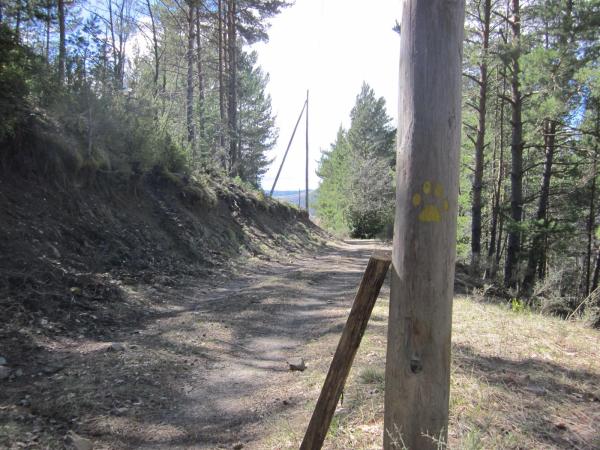 La Ruta de la Fauna de Montiberri, a l'Alta Ribagorça, una excursió per seguir el rastre dels animals | SeCR4 - wikiloc | SeCR4 - wikiloc | SeCR4 - wikiloc | xgumara - wikiloc | Oriol Faidella - wikiloc