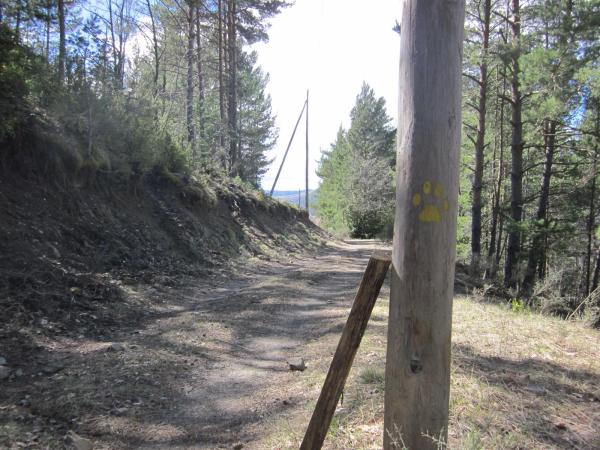 La Ruta de la Fauna de Montiberri, a l'Alta Ribagorça, una excursió per seguir el rastre dels animals | SeCR4 - wikiloc | SeCR4 - wikiloc | SeCR4 - wikiloc | xgumara - wikiloc | Oriol Faidella - wikiloc