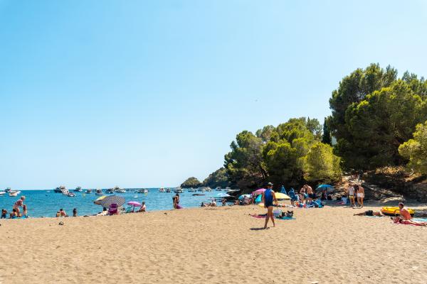 Cala Montjoi, ideal per practicar snorkel a prop de Roses, a la Costa Brava