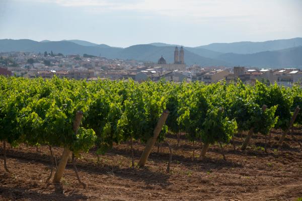 Sant Pere de Ribes