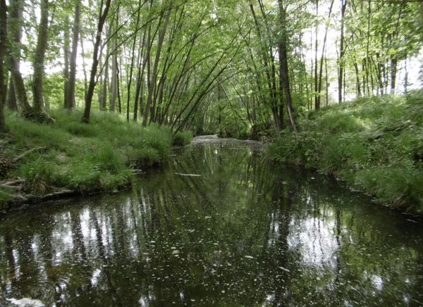 Ruta por la orilla del río Onyar