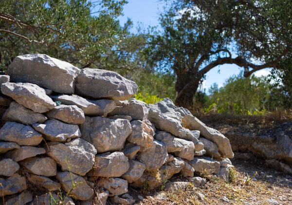 Ruta de la Piedra Seca de Castellolí Con niños