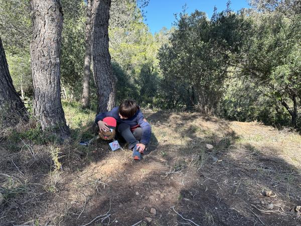 Tions amagats a Mont-roig 2025