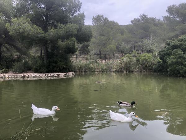 Área de ocio Fondo del Mata Con niños