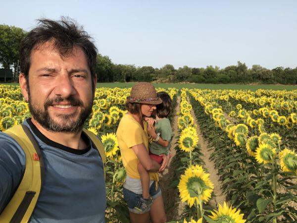 Un paseo entre girasoles y campos de arroz en Torroella de Montgrí