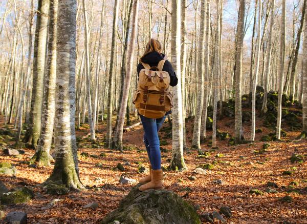 La Fageda d'en Jordà