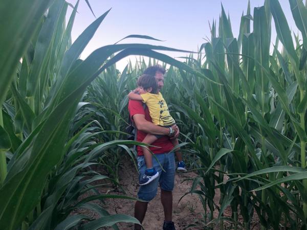 Un laberinto de maíz de más de tres hectáreas en el Baix Empordà, una aventura para toda la familia