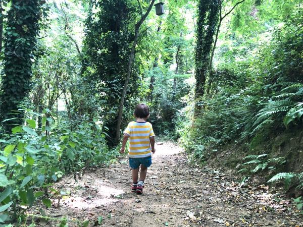 Itinerari de l'aigua i herbes remeieres