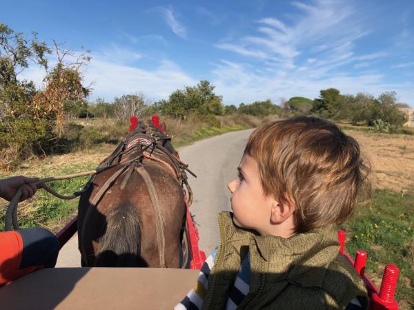 La Ruta dels Tanins, en carro