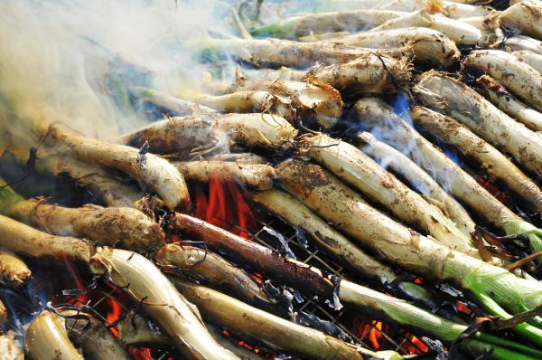 La Gran Festa de la Calçotada en Valls, la capital del calçot