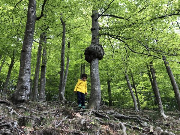 10 excursiones para hacer en familia esta primavera