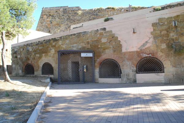 Pous de gel de Lleida