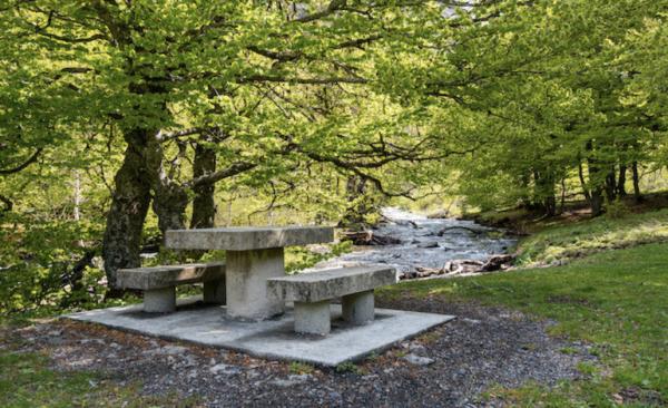 Zona de picnic del Saut del Pish Con niños