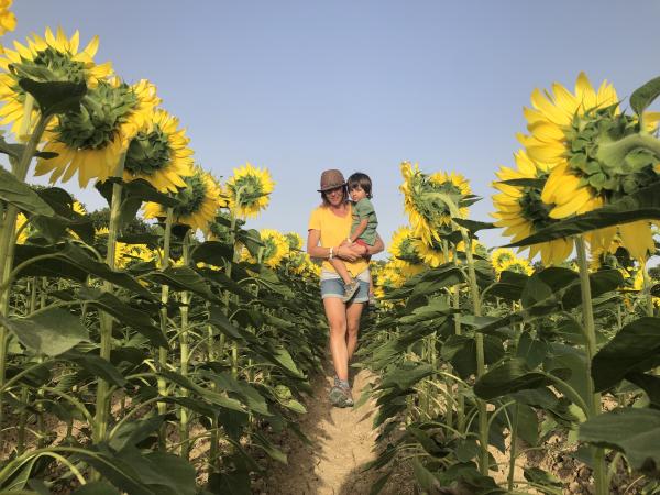 Un passeig entre gira-sols i camps d'arròs a Torroella de Montgrí amb nens