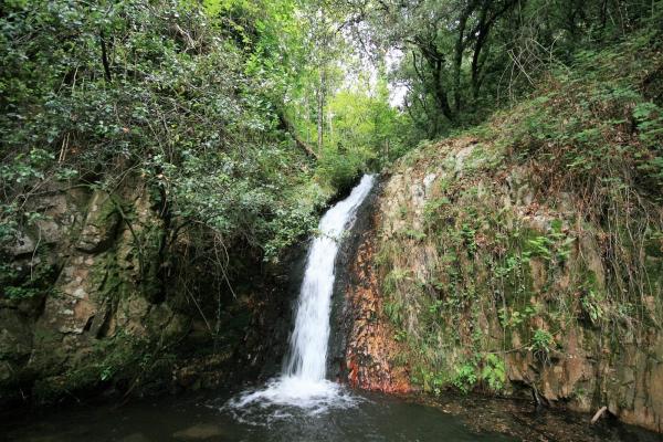 El Gorg Negre i el Clot de l’Infern, el camino de las cataratas, en Riells y Viabrea, el Vallès Oriental | wikiloc - Ambbotes